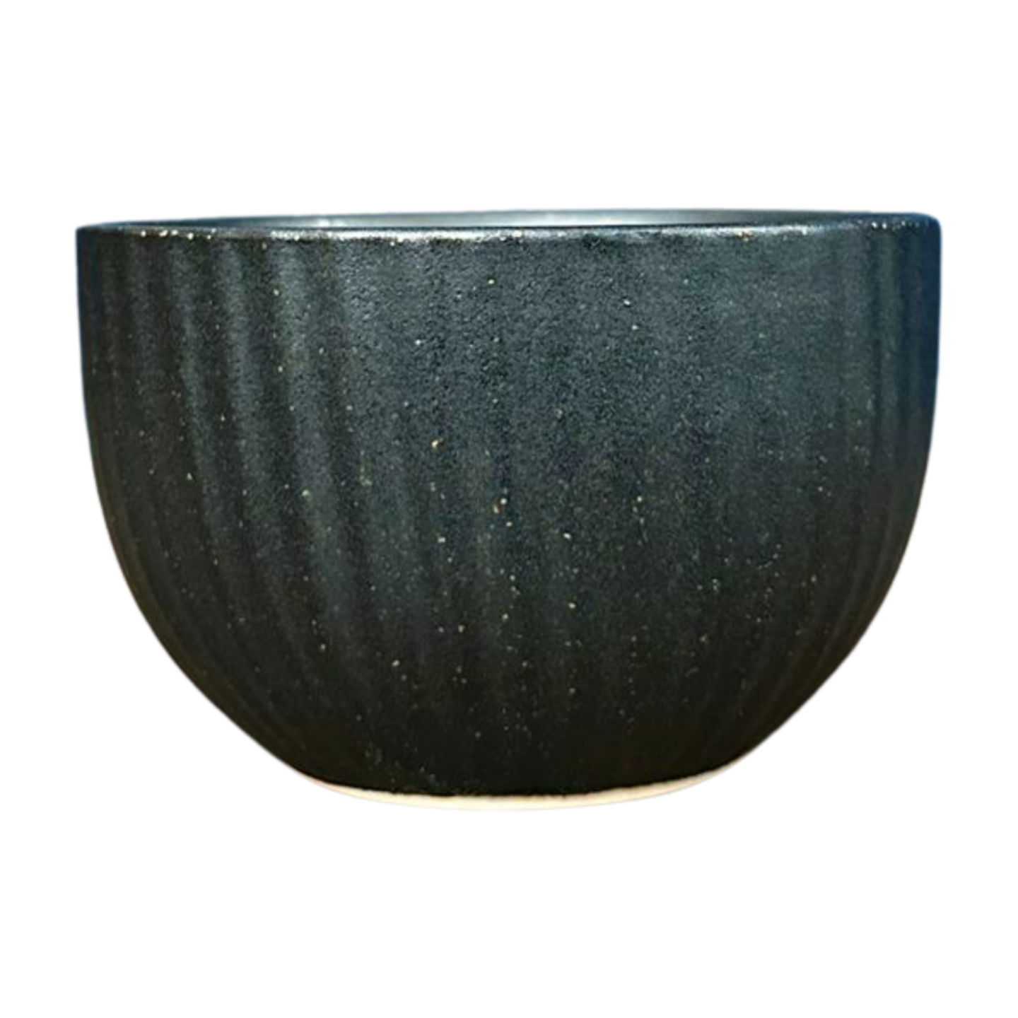 Japanese Rice Bowl in Black